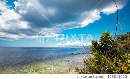 A wide ocean view framed by greenery in the foreground, dynamic clouds, and a bright blue summer sky. Siquijor island, Philippines 128815610