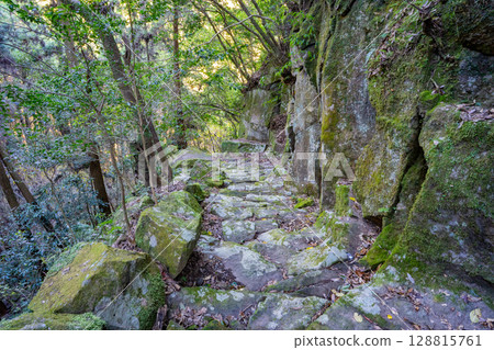 掛橋坂風景（姶良市蒲茂町） 128815761