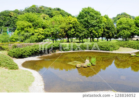 Hino Central Park Hino Central Park 128816052