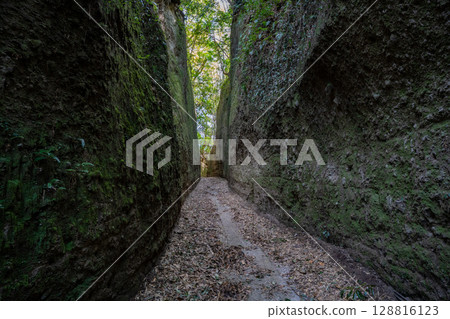 萩市別府地區Shirasu壁坡的風景 128816123