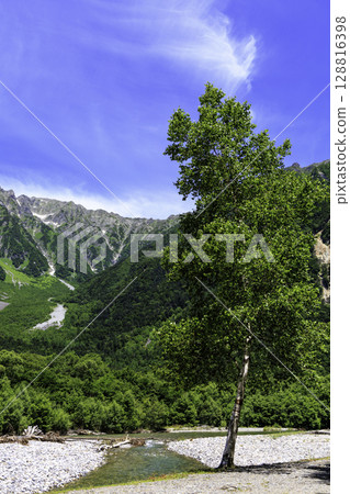 清澈的溪流和綠色景觀,夏季可欣賞上高地和穗高山脈的壯麗景色 清澈的溪流和綠色景觀,夏季可欣賞上高地和穗高山脈的壯麗景色 128816398