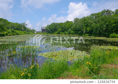 長野縣志賀高原的荷花池 128816734