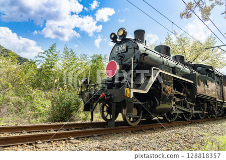 大井川鐵道蒸汽機車和靜岡縣家山的櫻花 大井川鐵道蒸汽機車和靜岡縣家山的櫻花 128818357