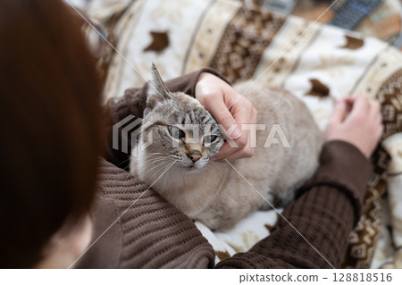 hold a cat 128818516
