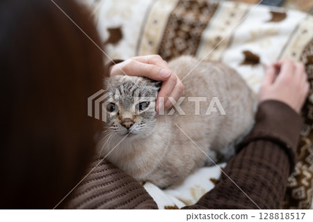 hold a cat 128818517