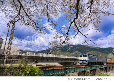 Ieyama, Shizuoka Prefecture Cherry blossoms in full bloom and a train passing the Ieyama Bridge on the Oigawa Railway 128818529