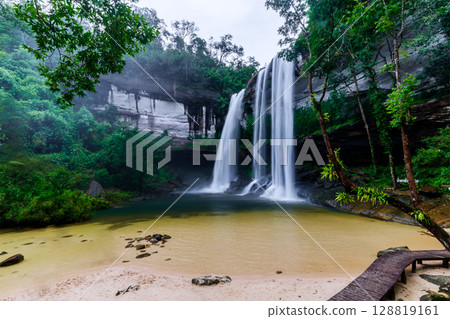 Waterfall, waterfall, forest 128819161