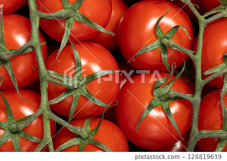 Freshly Picked Tomatoes on Vine Close-Up 128819639