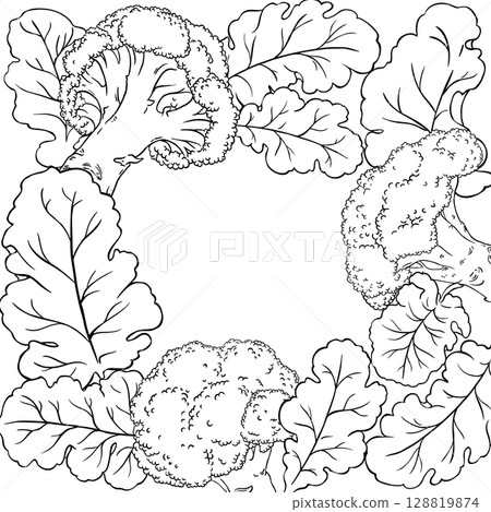 Broccoli Vegetable with Leaves Outline Frame. 128819874