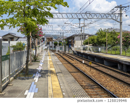 Scenery of a station with crape myrtle flowers in bloom Scenery of a station with crape myrtle flowers in bloom 128819946