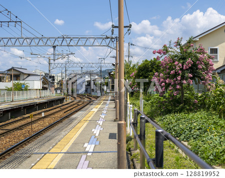 Scenery of a station with crape myrtle flowers in bloom Scenery of a station with crape myrtle flowers in bloom 128819952