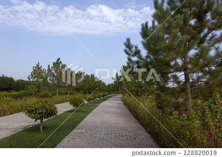 uzbekistan, path, garden 128820019