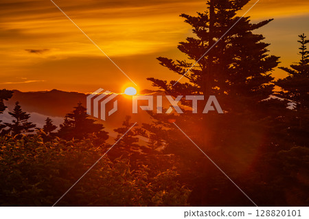 (群馬縣)穿過澀谷森林,欣賞雲海的黎明 (群馬縣)穿過澀谷森林,欣賞雲海的黎明 128820101