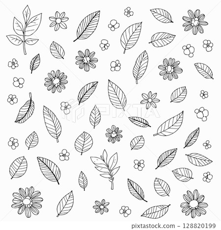 Botanical Illustration of Leaves and Branches 128820199