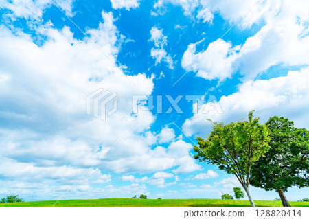 藍天和雲彩和大草原 128820414