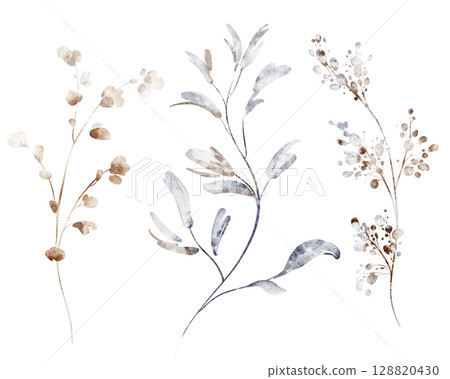 Dry Plants Watercolor Clipart Set on White Background Dry Plants Watercolor Clipart Set on White Background 128820430