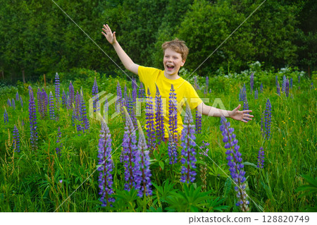 The scene shows a joyful child in a yellow top standing in a vibrant flower field of lupines. The scene shows a joyful child in a yellow top standing in a vibrant flower field of lupines. 128820749