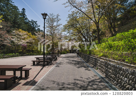 Scenery of the approach to Hattasan Son'eiji Temple in Fukuroi City (Shizuoka Prefecture) Scenery of the approach to Hattasan Son'eiji Temple in Fukuroi City (Shizuoka Prefecture) 128820803