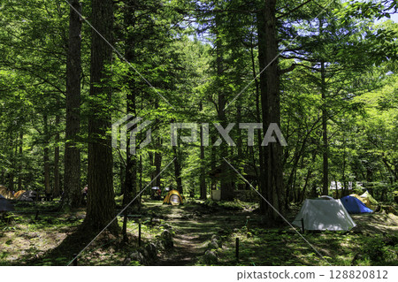 A summer campsite surrounded by forest at Konashidaira in Kamikochi 128820812