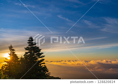 （群馬縣）從澀谷森林雲海昇起的日出 128820814