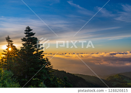 (群馬縣)從澀谷森林雲海昇起的日出 (群馬縣)從澀谷森林雲海昇起的日出 128820815