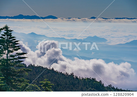 (群馬縣)澀谷的森林和雲海 (群馬縣)澀谷的森林和雲海 128820904