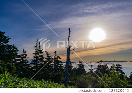 (Gunma Prefecture) Shibu Pass Forest, Sea of Clouds, and Sun (Gunma Prefecture) Shibu Pass Forest, Sea of Clouds, and Sun 128820943
