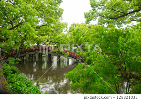 The red bridge of Dazaifu Tenmangu The red bridge of Dazaifu Tenmangu 128821035