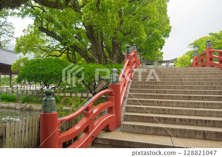 太宰府天滿宮紅橋 128821047