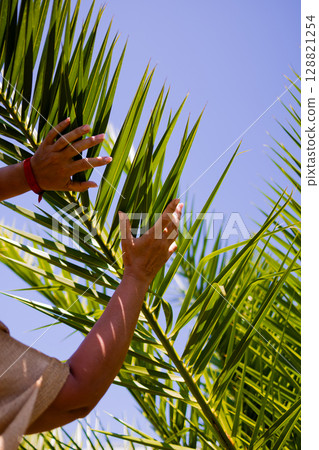 Hands touching green palm leaves against clear blue sky outdoors 128821254