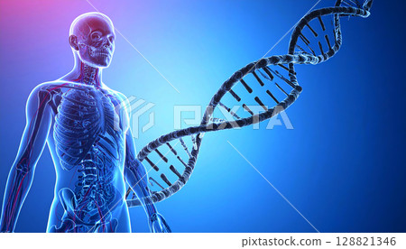 人體、DNA和染色體的圖像 128821346