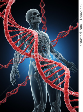 人體、DNA和染色體的圖像 128821369