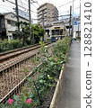 Machiya Station on the Toden Arakawa Line and Keisei Line during the rose season Machiya Station on the Toden Arakawa Line and Keisei Line during the rose season 128821410