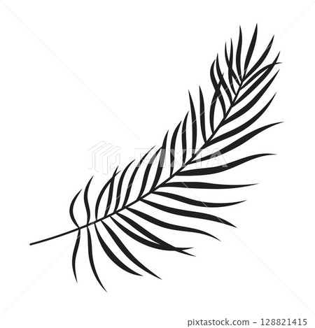 palm leaf in outline palm leaf in outline 128821415