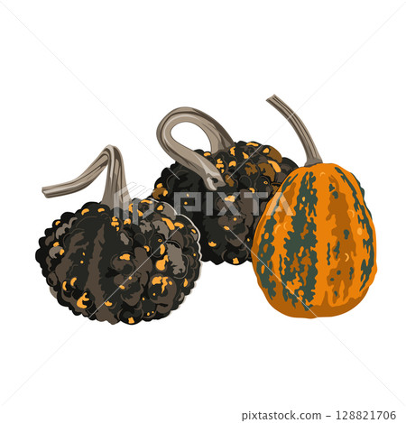 Funny small decorative pimpled pumpkin composition isolated on white. Pimply and warty gourd vector drawing illustration. 128821706