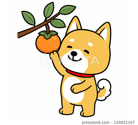 A Shiba Inu reaching out to a persimmon tree to pick a delicious looking persimmon. 128822167