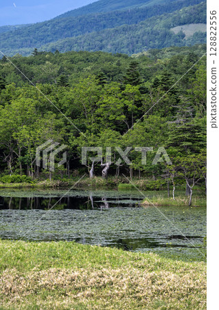 Scenery of Shiretoko Five Lakes of World Heritage Shiretoko Scenery of Shiretoko Five Lakes of World Heritage Shiretoko 128822556