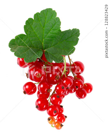 Red currant isolated on white background. Redcurrant or Ribes rubrum ripe berries with green leaves. 128823429