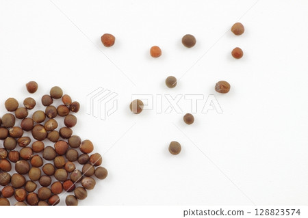 高麗菜，一種帶給種植快樂的種子 128823574
