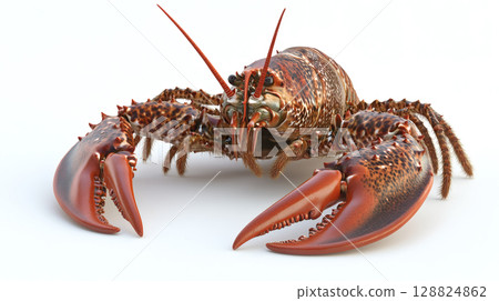 活小龍蝦 活小龍蝦 128824862