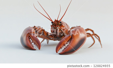 Live crayfish 128824935