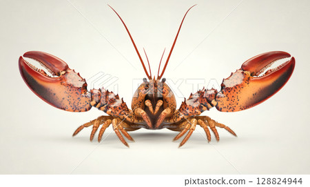 活小龍蝦 活小龍蝦 128824944