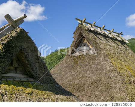An old private house with a thatched roof An old private house with a thatched roof 128825006