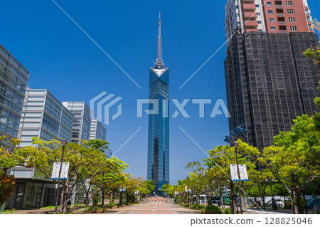 Fukuoka Prefecture: Fukuoka Tower Seaside Momochi 128825046