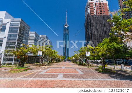 福岡縣:福岡塔海濱百道 福岡縣:福岡塔海濱百道 128825047