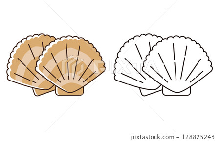 Cute scallop line drawing illustration 128825243