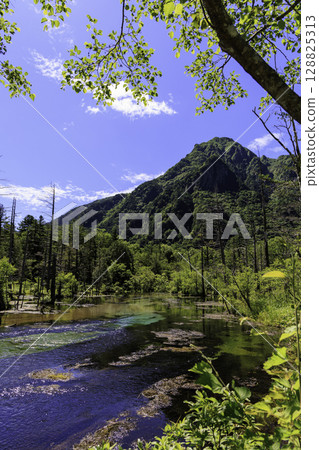 可以眺望岳澤沼澤和露百山的清澈泉水和枯樹的景色。 128825313