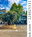 A 2000-year old olive tree from Palestine in Rustaveli Avenue in Tbilisi. High quality photo 128825331