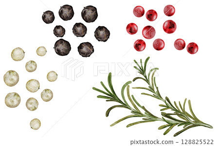 Peppercorns watercolor set. Hand drawn dried black, white and pink pepper with rosemary. Clip art on a white background of hot spices. Ideal for cookbooks, menus and organic product packaging 128825522
