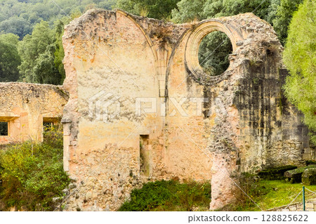 View of the ruins of Monastery of San Pedro de Arlanza in Burgos province, Spain. 128825622